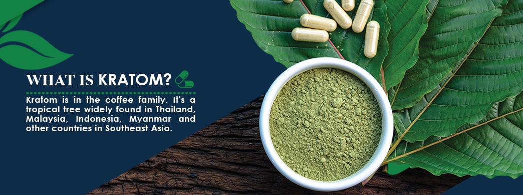 What is Kratom and is it Safe? | Kratom Effects on the Body