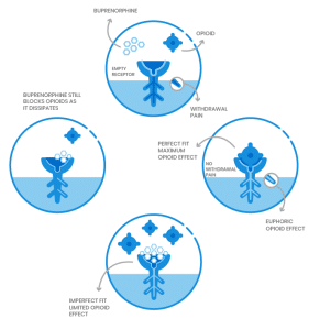 Diagram on how Suboxone Treatment works to help opioid addiction